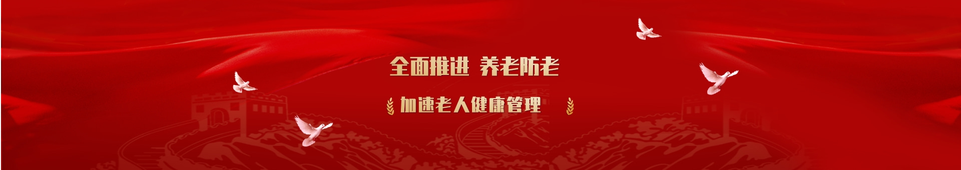 老年体育赛事与展示交流活动