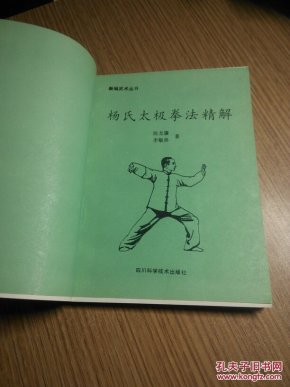 20余位海外华教从业者河南温县习练太极拳(图1)