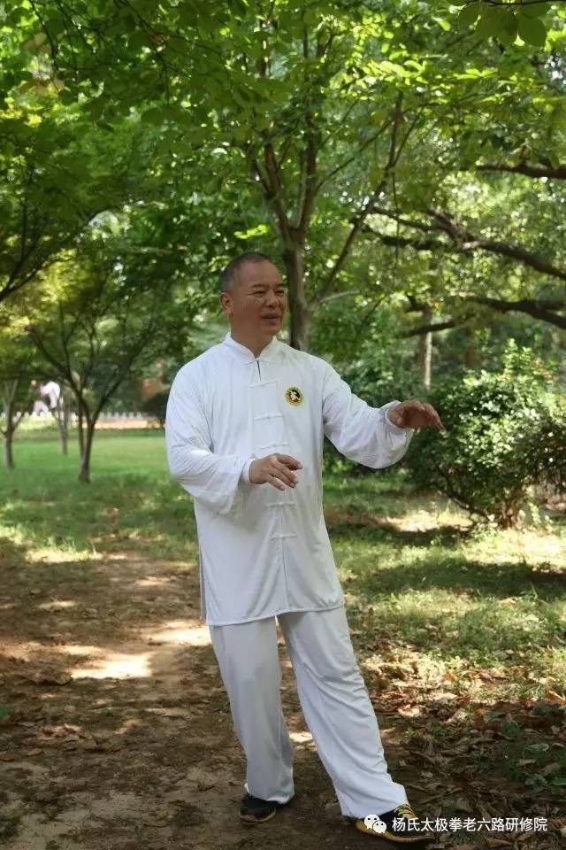 武术世界冠军教授二十四式太极拳140余位拳友参加(图1)