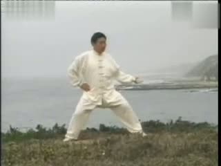 太极拳练习中的真相你了解多少?(图1)