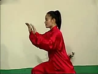 人形机器人正式比武！太极拳“白鹤亮翅”是必选动作(图1)