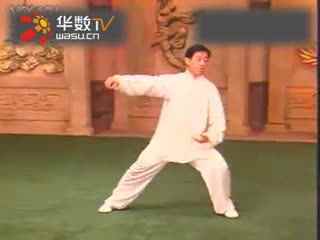 24式太极拳视频教程：初学者指南(图1)